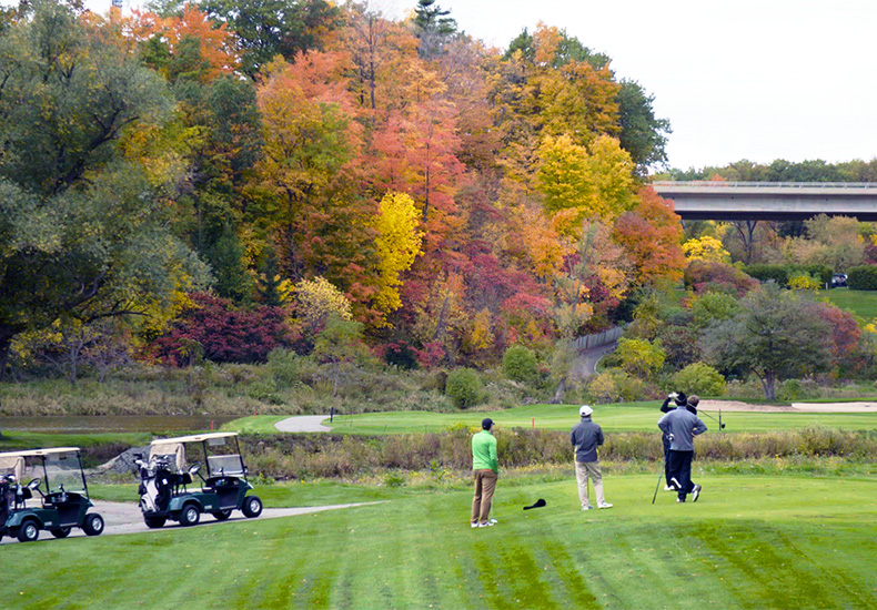 Group of golfers