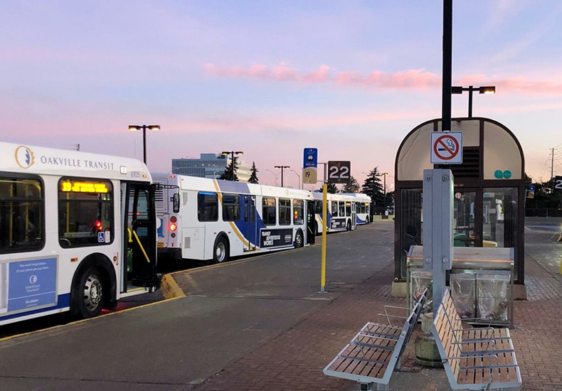 Oakville Transit buses